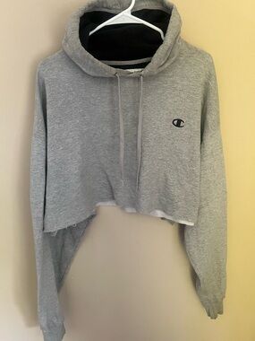 Champion Crop ECO Authentic Hoodie in Gray with Black and White Details